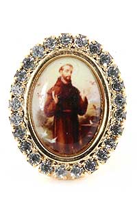 St Francis Lapel Pin