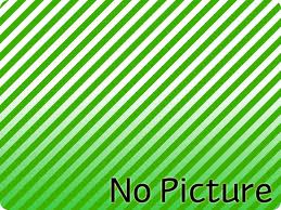 BRA418 Religious Bracelet With Madonna